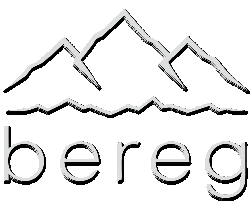 Spott Logo